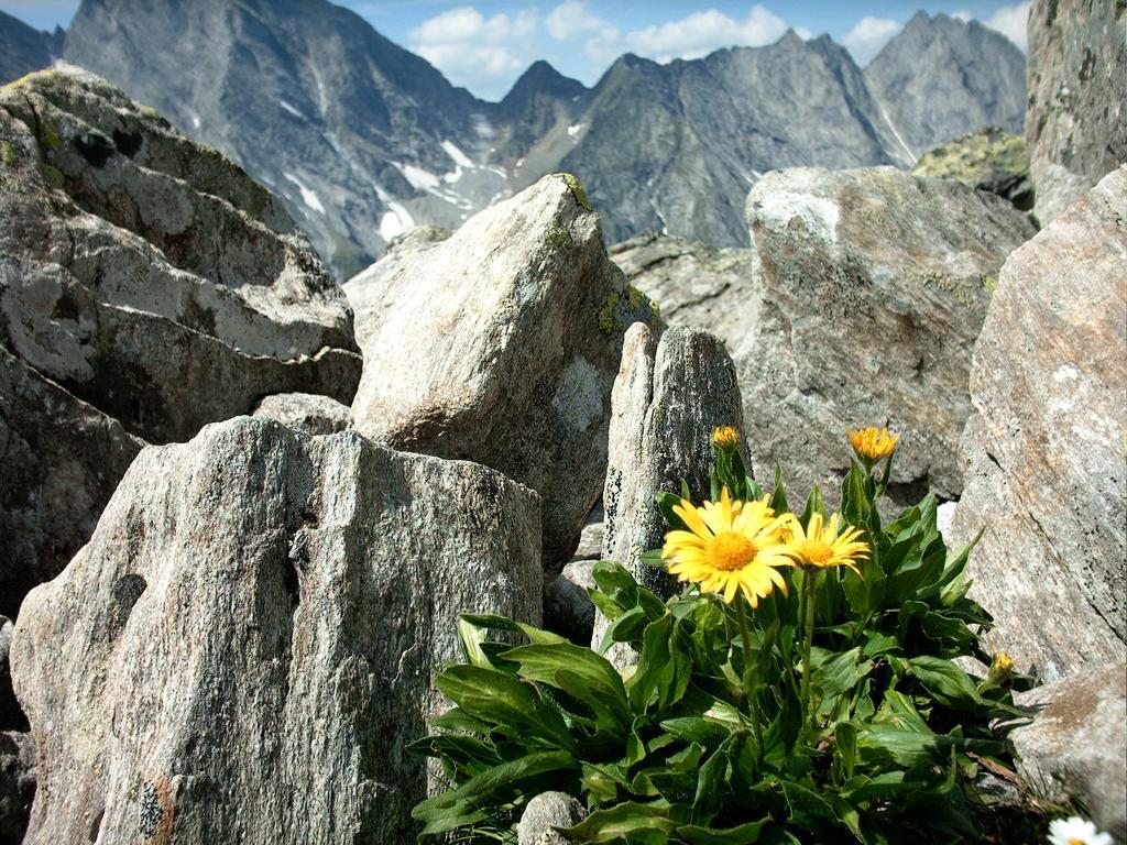 Affittacamere Sportpension Christina By Piaunddirk 3*